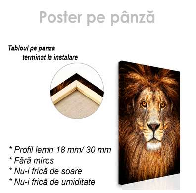 Poster, The Lion King, 30 x 45 см, Canvas on frame