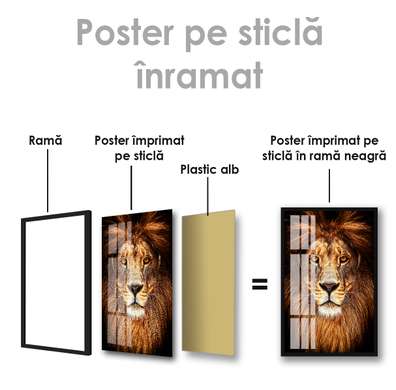 Poster, Regele Leu, 60 x 90 см, Poster inramat pe sticla