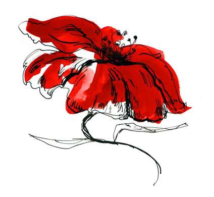 Постер - Красный цветок, 100 x 100 см, Постер в раме, Минимализм
