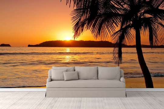 Wall Mural - Palm tree silhouette at sunset