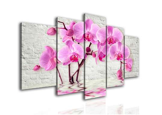 Tablou Pe Panza Multicanvas, Orhidee luminoasă de culoare roz., 108 х 60