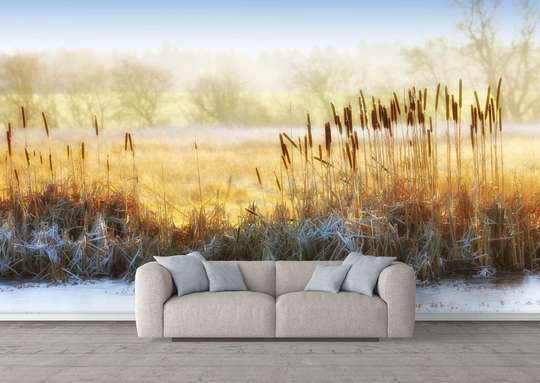 Wall Mural - Nature in autumn