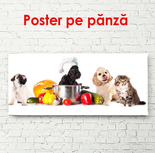 Poster, Animale de companie pe un fundal alb, 150 x 50 см, Poster înrămat, Animale