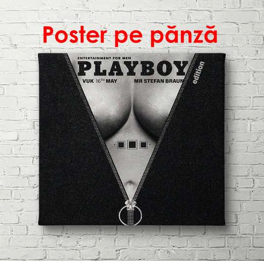 Poster - Playboy, 40 x 40 см, Canvas on frame, Nude