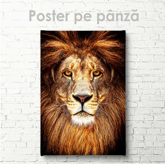 Poster, The Lion King, 30 x 45 см, Canvas on frame, Animals