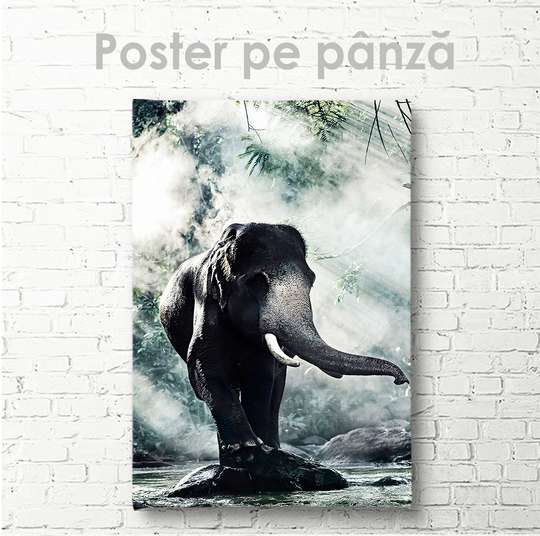 Poster, Elephant, 30 x 45 см, Canvas on frame, Animals