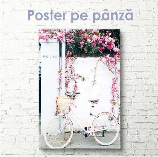Poster - Pink Corner, 30 x 45 см, Canvas on frame