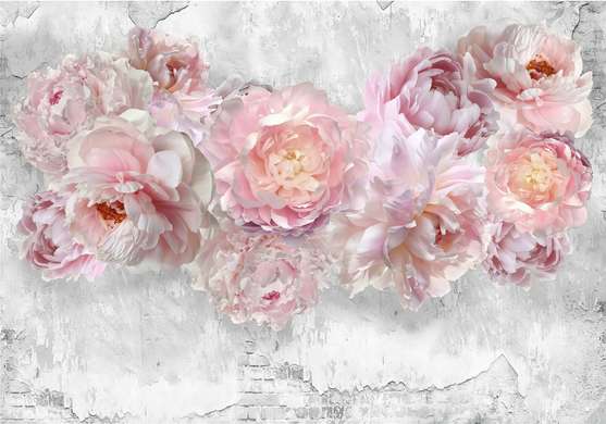 Wall Mural - Pale pink peonies on a light gray background