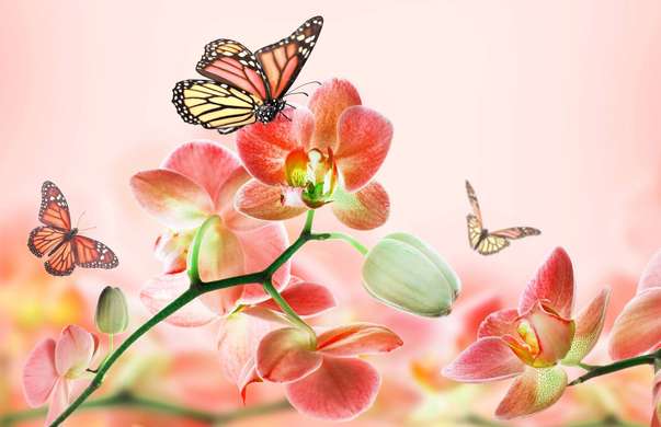 Modular picture, Orchid orange with butterflies, 198 x 115