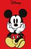 Poster - Mickey și Minnie Mouse, 60 x 90 см, Poster inramat pe sticla