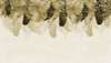 Wall mural - Golden feathers on a beige background