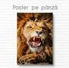 Постер, Грозный Лев, 60 x 90 см, Постер на Стекле в раме, Животные