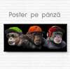 Poster, Maimuțe Glamour, 90 x 45 см, Poster inramat pe sticla