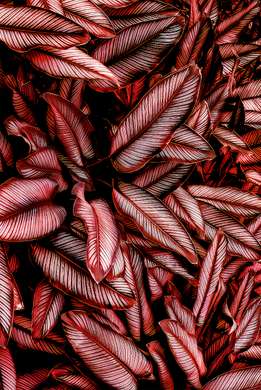 Poster - Red leaves, 30 x 45 см, Canvas on frame, Sets