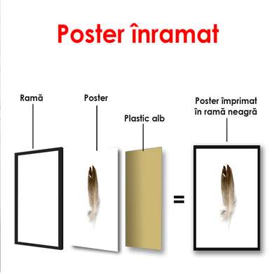 Poster - Feather, 60 x 90 см, Framed poster on glass, Minimalism