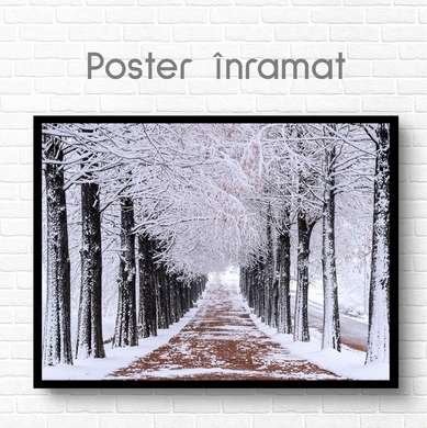 Постер - Зимний лес, 90 x 60 см, Постер на Стекле в раме, Природа