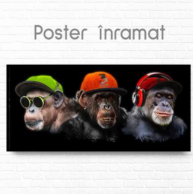 Постер, Гламурные обезьяны, 60 x 30 см, Холст на подрамнике