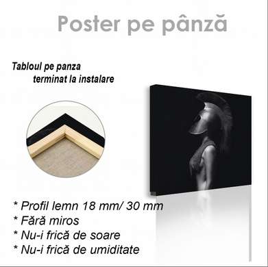 Poster - Fata în armură, 40 x 40 см, Panza pe cadru