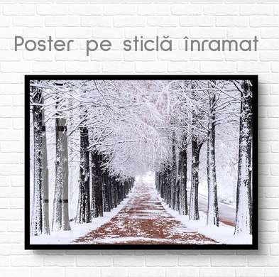 Постер - Зимний лес, 90 x 60 см, Постер на Стекле в раме, Природа