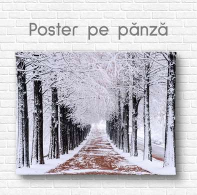 Poster - Winter forest, 90 x 60 см, Framed poster on glass