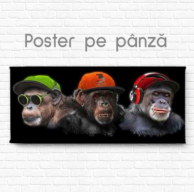 Постер, Гламурные обезьяны, 60 x 30 см, Холст на подрамнике