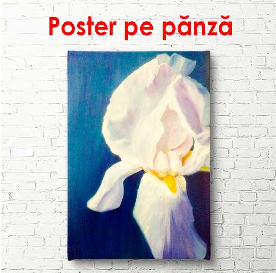 Poster - Delicate poppies on a beige background, 45 x 90 см, Framed poster
