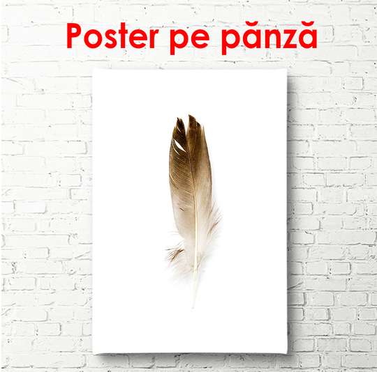 Постер - Перо, 30 x 45 см, Холст на подрамнике