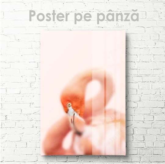 Постер, Розовый фламинго, 30 x 45 см, Холст на подрамнике, Животные