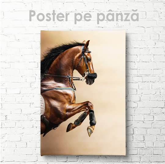 Постер, Лошадь во всей красе, 30 x 45 см, Холст на подрамнике