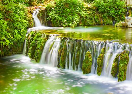 Wall Mural - Cascade on a background of green plants