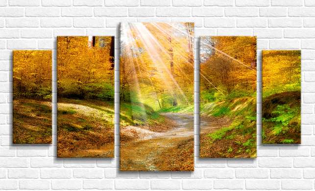 Модульная картина, Осенний пейзаж в лесу, 206 x 115