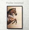 Постер, Лошадь во всей красе, 30 x 45 см, Холст на подрамнике, Животные