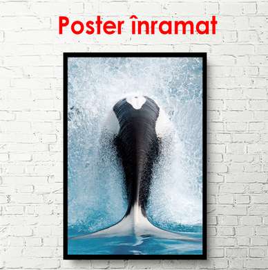 Poster - The tail of a drifting whale, 50 x 75 см, Framed poster on glass, Marine Theme