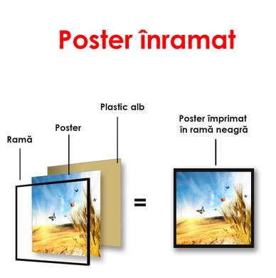 Poster - Fluturii peste un câmp de grâu, 100 x 100 см, Poster înrămat, Natură