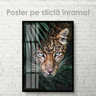 Poster, Predator's Eye, 60 x 90 см, Framed poster on glass, Animals