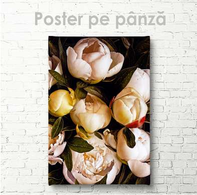 Постер - Белые пионы 1, 60 x 90 см, Постер на Стекле в раме, Цветы