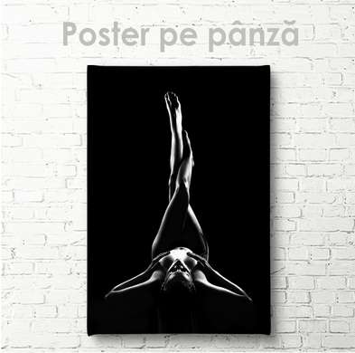 Poster - Siluetă feminină, 30 x 45 см, Panza pe cadru, Nude