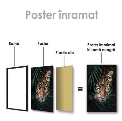 Poster, Predator's Eye, 30 x 45 см, Canvas on frame