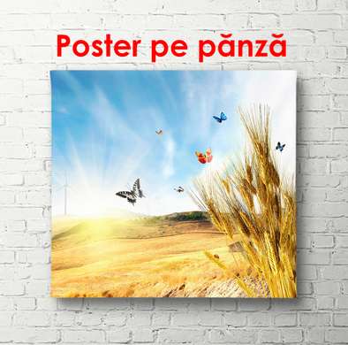 Poster - Butterflies soar in the air against the background of a wheat field, 100 x 100 см, Framed poster on glass, Nature