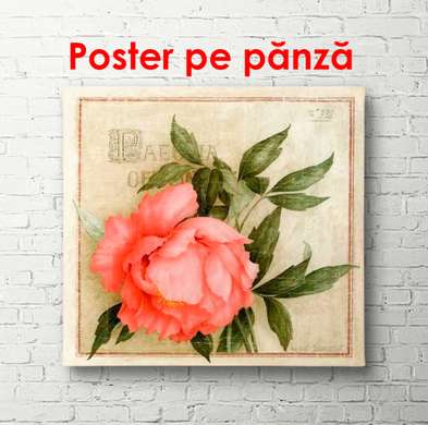 Poster - Trandafirul roz pe fundal verde, 100 x 100 см, Poster înrămat, Provence