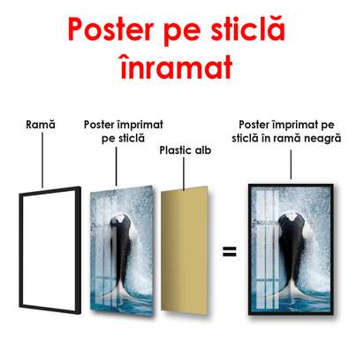 Poster - Balena înotătoare, 50 x 75 см, Poster inramat pe sticla