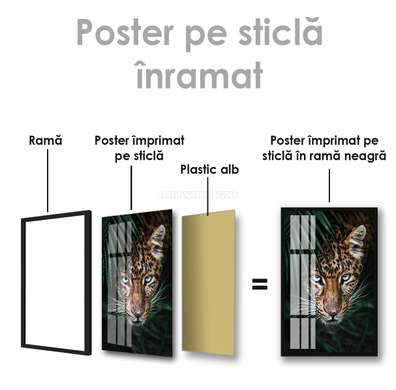 Poster, Predator's Eye, 60 x 90 см, Framed poster on glass, Animals