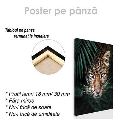 Постер, Взгляд хищника, 30 x 45 см, Холст на подрамнике