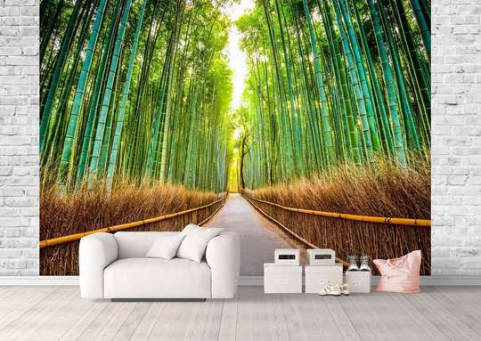 Fototapet - Pădurea de bambus