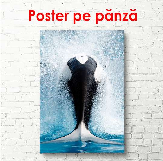 Poster - The tail of a drifting whale, 50 x 75 см, Framed poster on glass