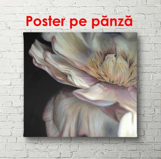 Poster - White poppies on a blue background, 100 x 100 см, Framed poster, Flowers