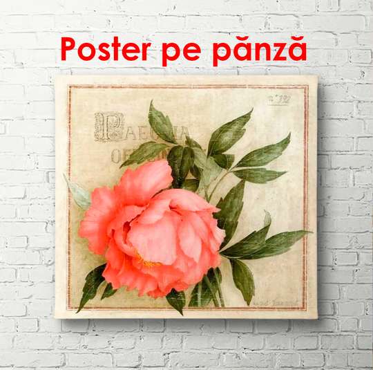 Poster - Trandafirul roz pe fundal verde, 100 x 100 см, Poster înrămat