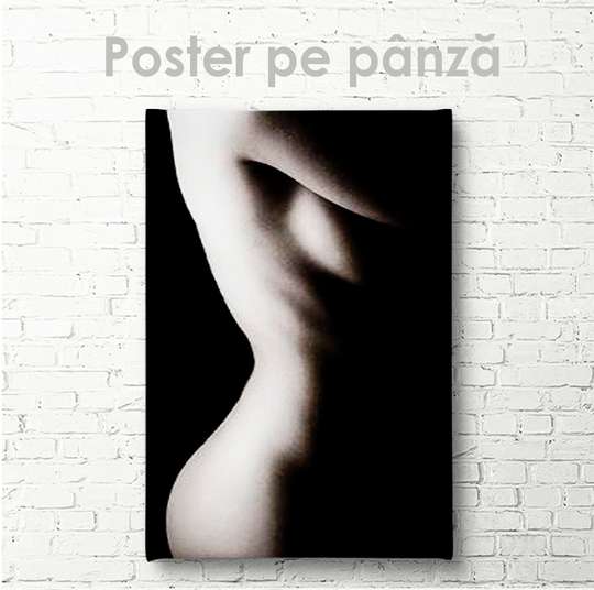 Постер - Женское тело, 30 x 60 см, Холст на подрамнике, Ню
