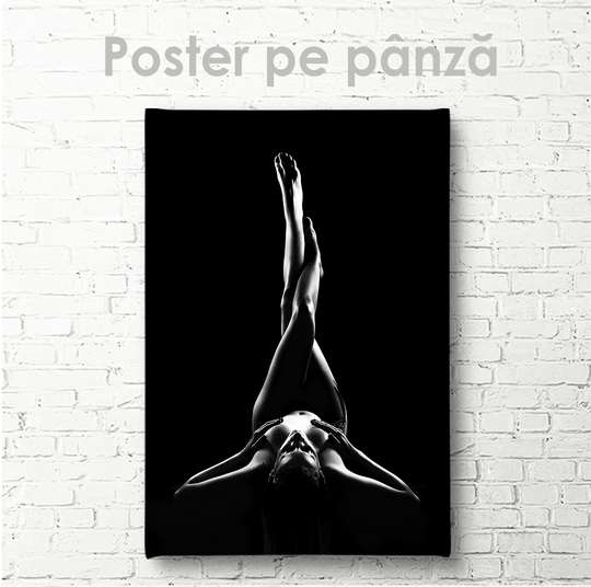 Poster - Siluetă feminină, 30 x 45 см, Panza pe cadru