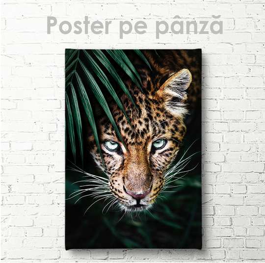 Poster, Predator's Eye, 30 x 45 см, Canvas on frame, Animals